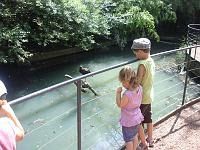Parc des oiseaux (15)
